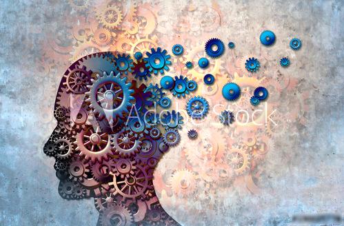 Source : Adobe Stock